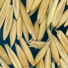 column KERNELS