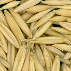 column KERNELS