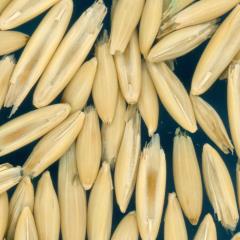 column KERNELS
