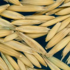 column KERNELS