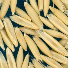 column KERNELS