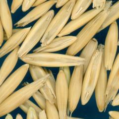 column KERNELS