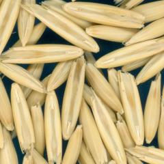 column KERNELS