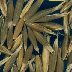column KERNELS