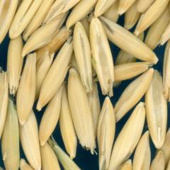 column KERNELS