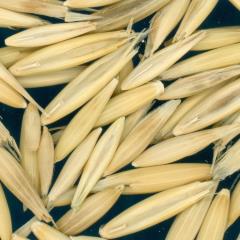 column KERNELS