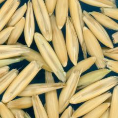 column KERNELS