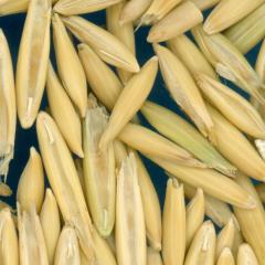 column KERNELS