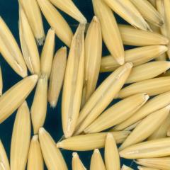 column Kernels