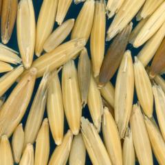 column KERNELS