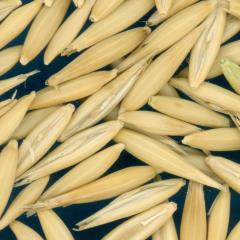 column KERNELS