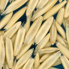 column KERNELS