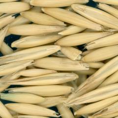 column KERNELS