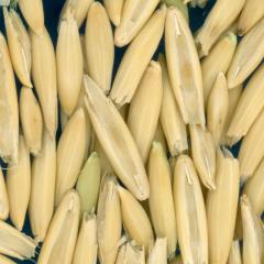 column KERNELS