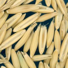 column KERNELS