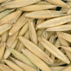 column KERNELS