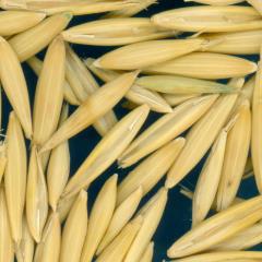 column KERNELS