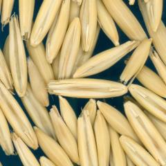 column KERNELS