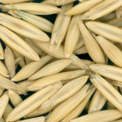column KERNELS