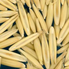 column KERNELS