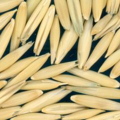 Kernels