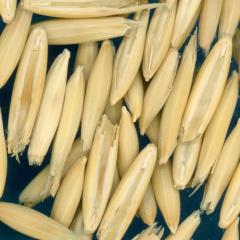 column KERNELS