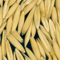 column KERNELS
