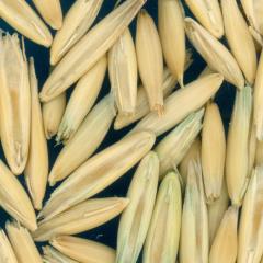 column KERNELS