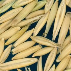 column KERNELS