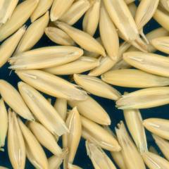 column KERNELS