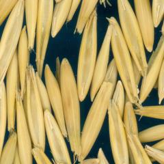 column KERNELS