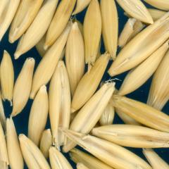 column KERNELS