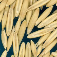 column KERNELS