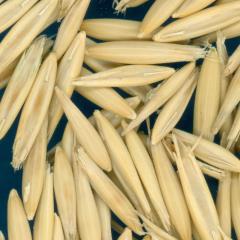 column KERNELS