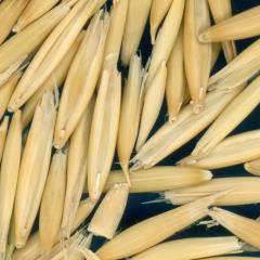 column KERNELS