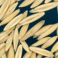 column KERNELS