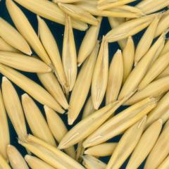 column KERNELS
