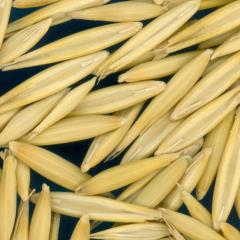 column KERNELS