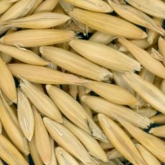 column KERNELS