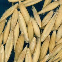 column KERNELS