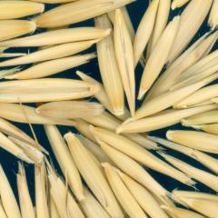 column KERNELS