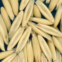 column KERNELS