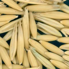 column KERNELS