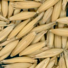 column KERNELS