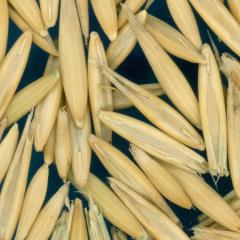 column KERNELS