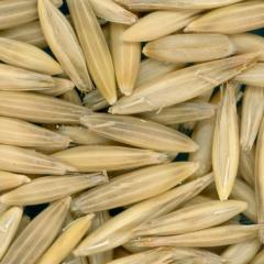 column KERNELS