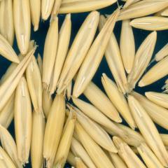 column KERNELS
