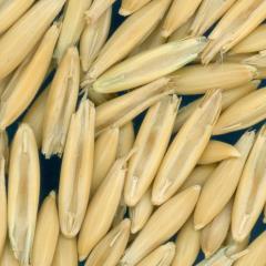 column KERNELS