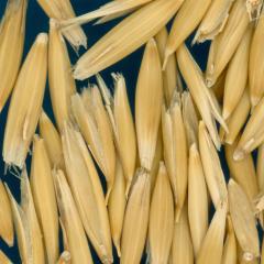 column KERNELS