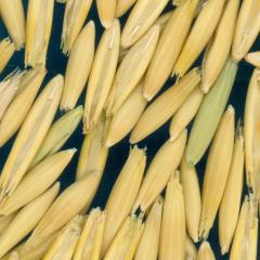 column KERNELS